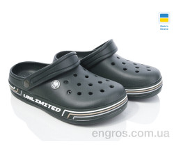 Кроксы Golden Lion